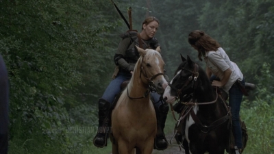 twd905_0270.jpg