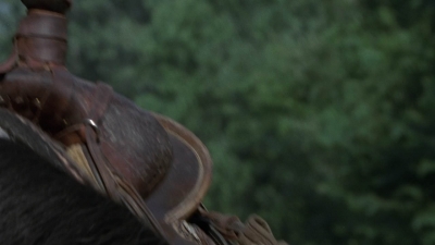 twd905_0293.jpg