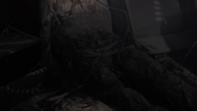 twd905_0363.jpg