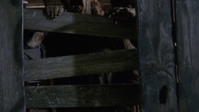 twd905_0595.jpg
