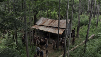 twd905_0615.jpg