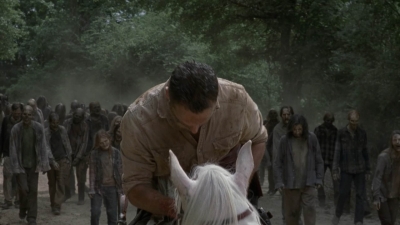 twd905_1164.jpg
