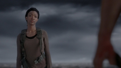 twd905_1449.jpg