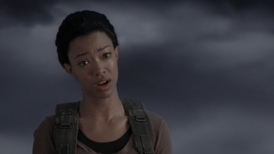twd905_1490.jpg