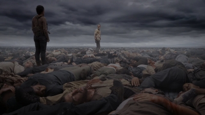twd905_1492.jpg