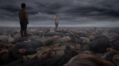 twd905_1493.jpg