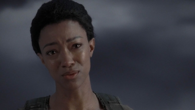twd905_1533.jpg