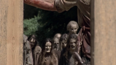 twd905_1850.jpg