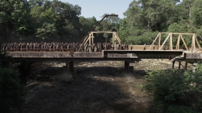 twd905_1882.jpg