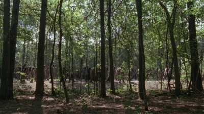 Click to view full size image
==============
twd905_1969.jpg twd905_1969.jpg