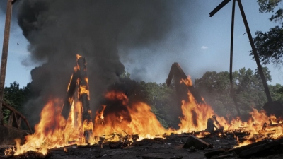 twd905_2011.jpg
