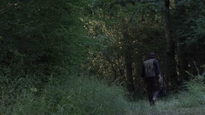 twd905_2067.jpg