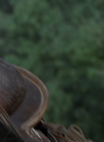 twd905_0293.jpg