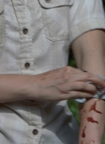 twd905_0298.jpg