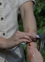 twd905_0299.jpg