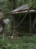 twd905_0343.jpg