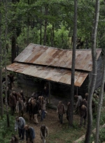 twd905_0615.jpg