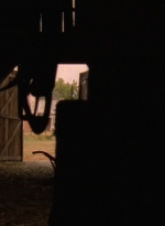 twd905_1178.jpg