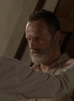 twd905_1198.jpg