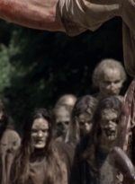 twd905_1850.jpg