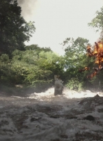 twd905_2042.jpg