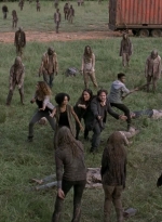 twd905_2246.jpg
