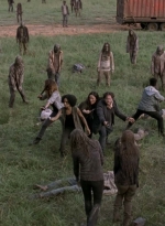 twd905_2247.jpg