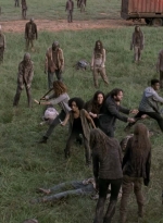 twd905_2248.jpg