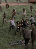 twd905_2249.jpg
