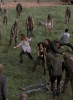 twd905_2250.jpg
