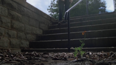twd906_0188.jpg