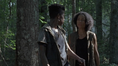Click to view full size image
==============
twd906_0288.jpg twd906_0288.jpg