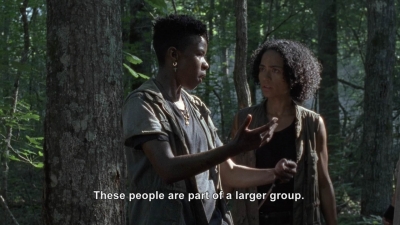 twd906_0289.jpg