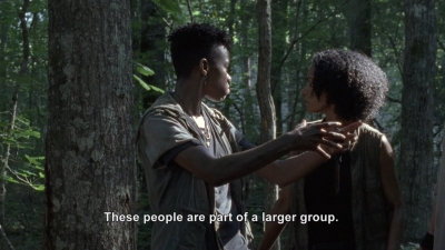 twd906_0290.jpg