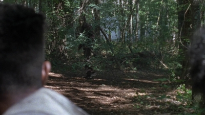 twd906_0293.jpg