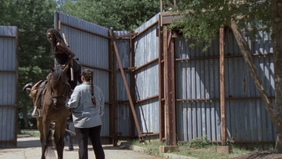 twd906_0599.jpg