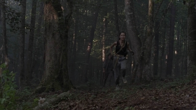 twd906_2176.jpg