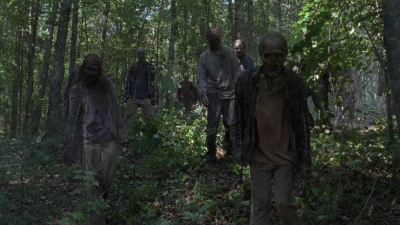 twd906_2398.jpg