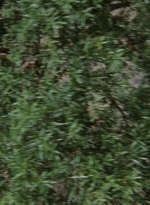 twd906_0548.jpg