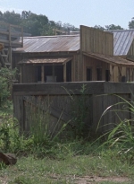 twd906_0560.jpg