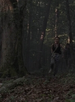 twd906_2175.jpg