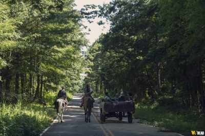 S09E07 - Stradivarius

