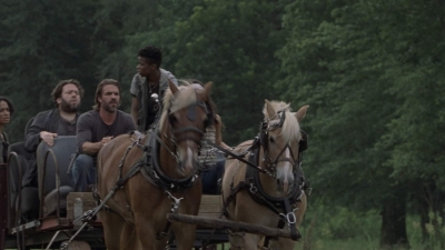 twd907_0513.jpg