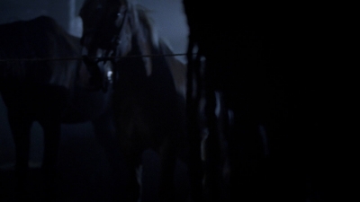 twd907_1096.jpg