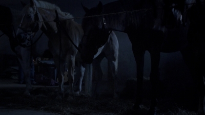 twd907_1100.jpg