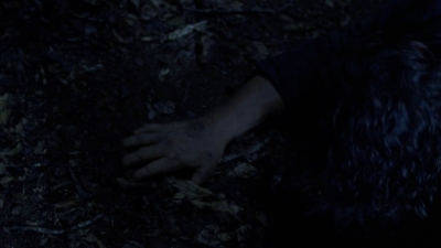 twd907_1224.jpg