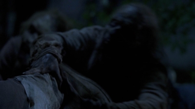 twd907_1233.jpg