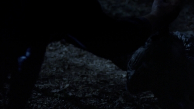 twd907_1239.jpg