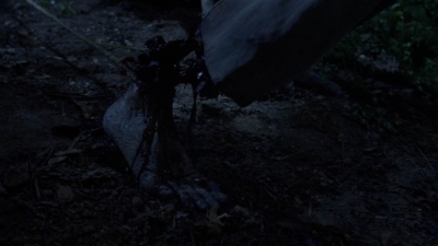 twd907_1245.jpg