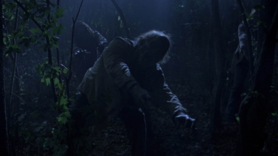 twd907_1247.jpg